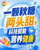 秋聚南京，第115届秋季糖酒会，食饮新话题，热议不断